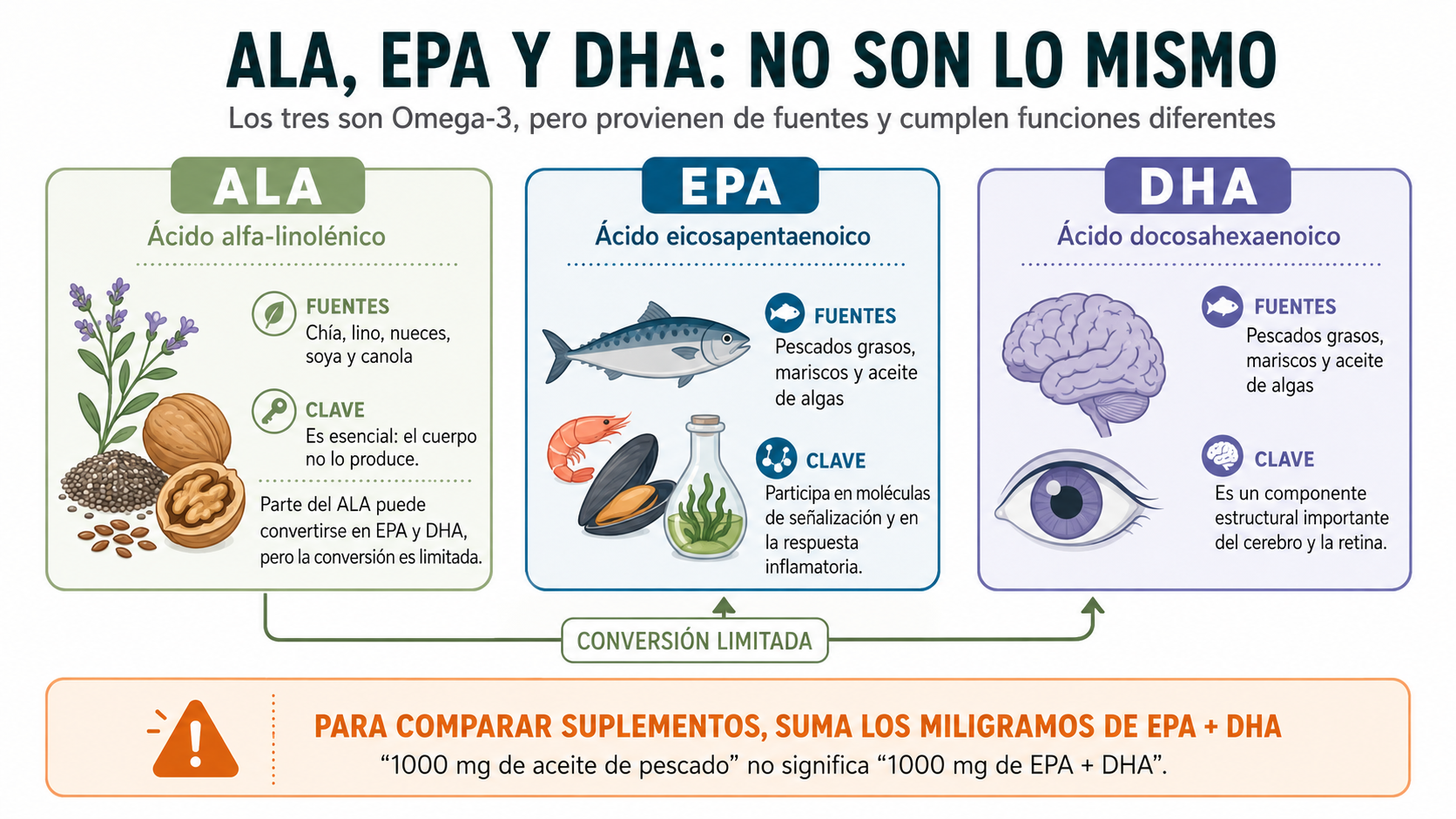 Comparativa entre ALA, EPA y DHA